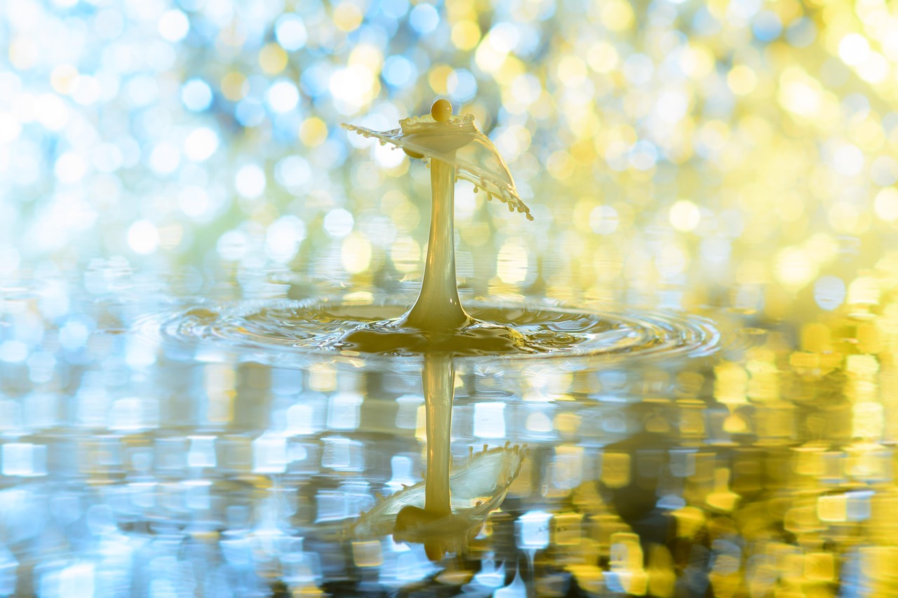 Drops, water, nature — How to Reset Your Rocketplay Password Step by Step