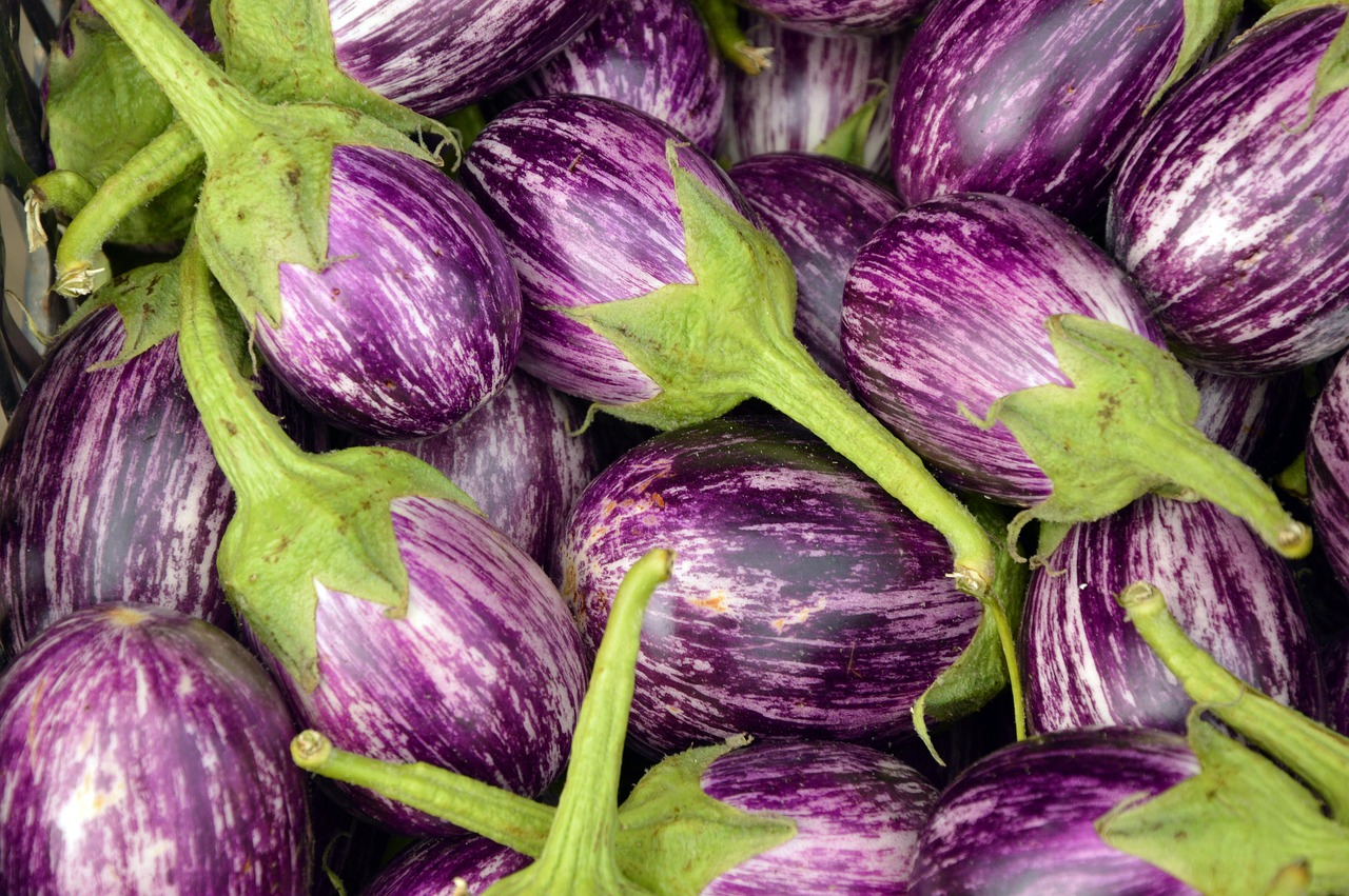 Eggplant, fruit, vegetables — The Impact of White Label SEO on Your Business Performance